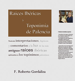 Toponimia de Palencia